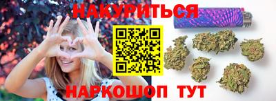 индика Бийск