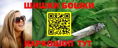 индика Бийск
