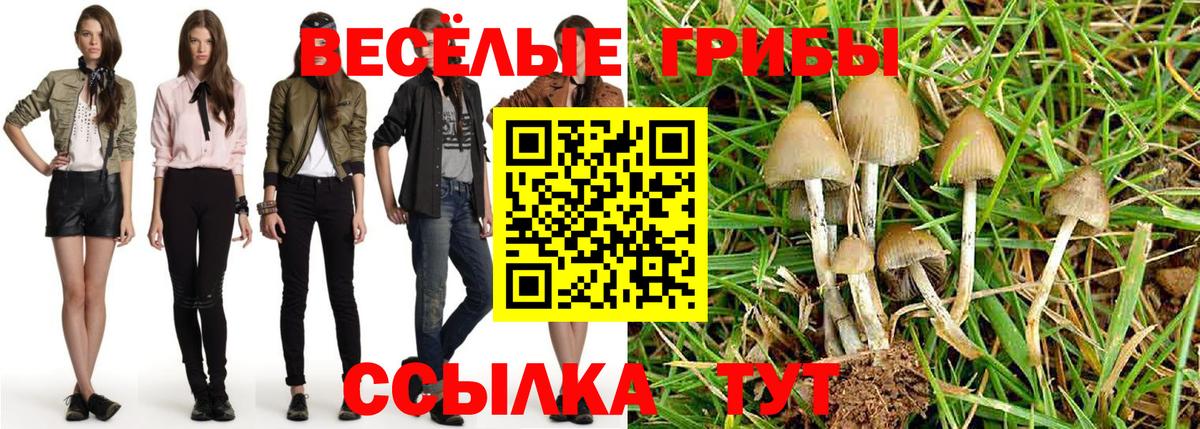 Псилоцибиновые грибы Psilocybine cubensis Звенигород